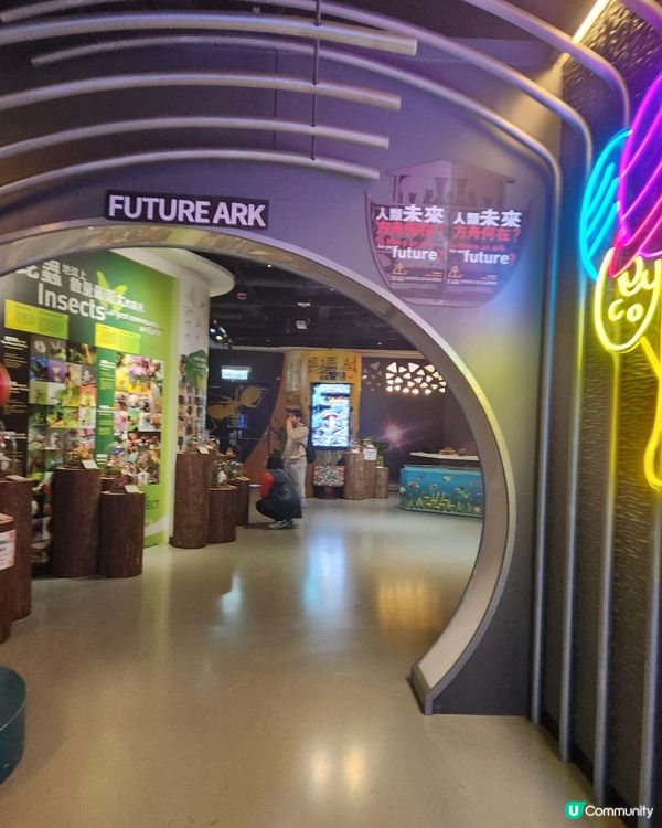 聖誕親子遊挪亞方舟！🤩 玩學兼備超開心！🥳