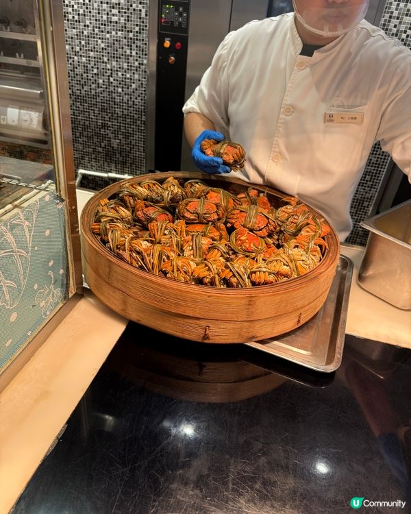 珠海長隆企鵝酒店自助餐🐧！海鮮控必去🤤！