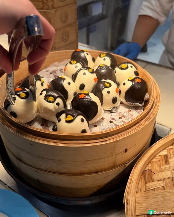 珠海長隆企鵝酒店自助餐🐧！海鮮控必去🤤！