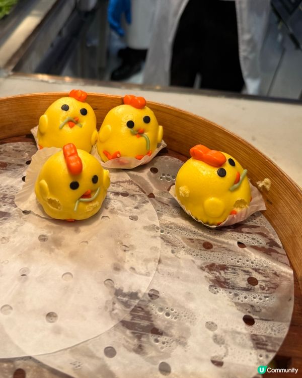 珠海長隆企鵝酒店自助餐🐧！海鮮控必去🤤！