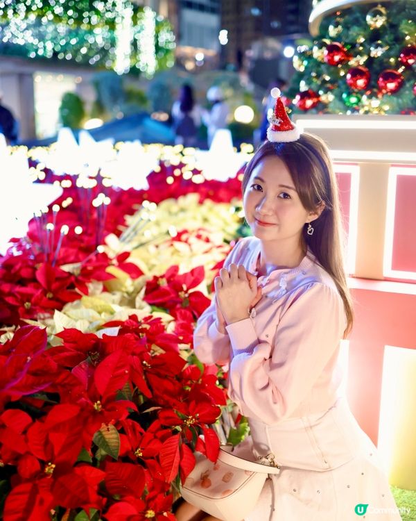 飄雪❄️聖誕樹🎄❤️聖誕花海🌺