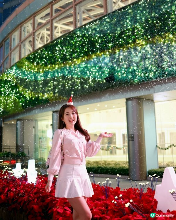 飄雪❄️聖誕樹🎄❤️聖誕花海🌺