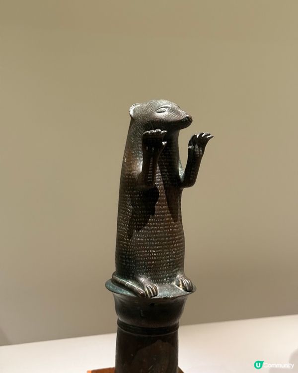 香港故宮博物館📍被小貓咪木乃伊震驚❗️