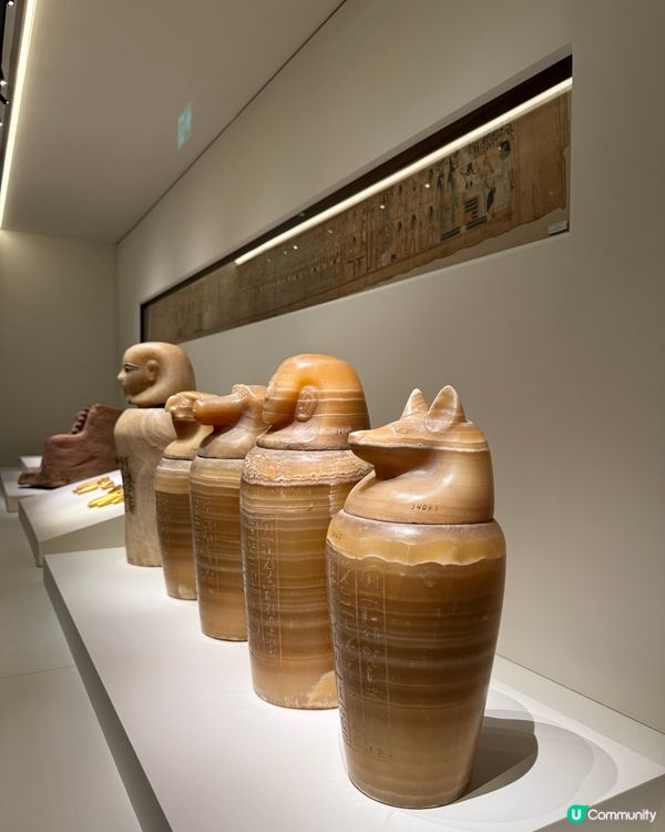 香港故宮博物館📍被小貓咪木乃伊震驚❗️