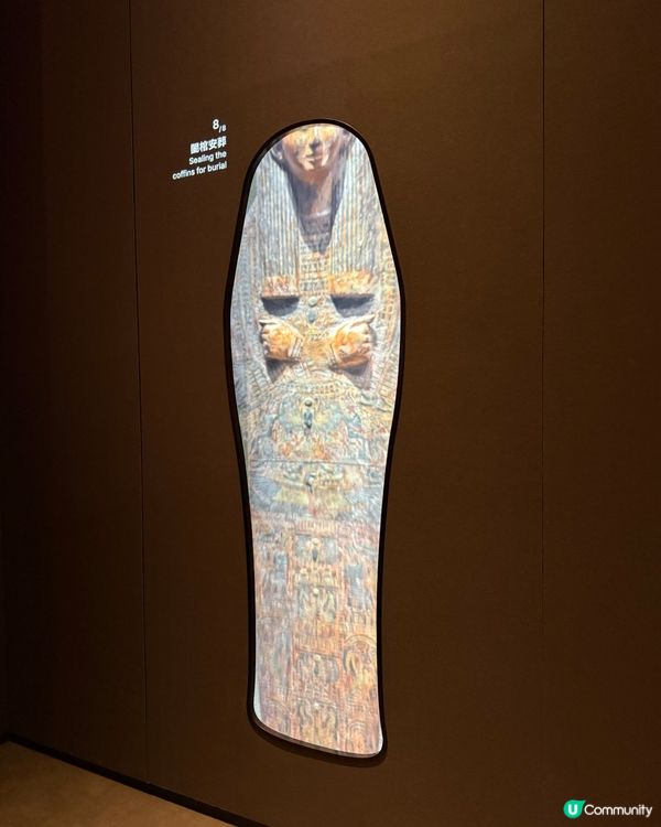 香港故宮博物館📍被小貓咪木乃伊震驚❗️