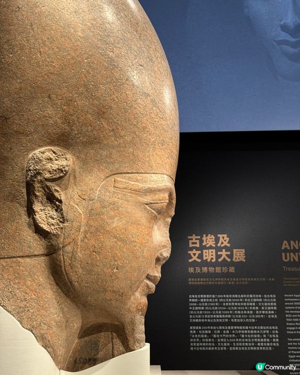 香港故宮博物館📍被小貓咪木乃伊震驚❗️