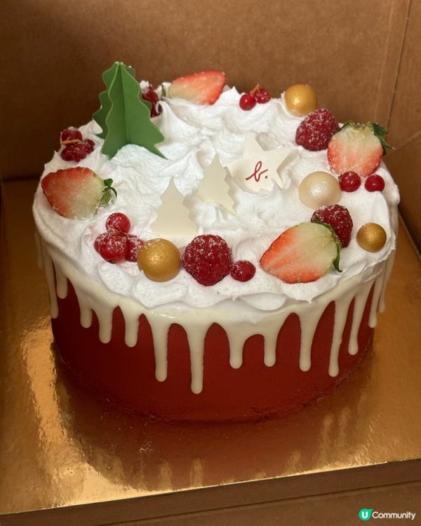 超靚聖誕蛋糕！🥹🎄