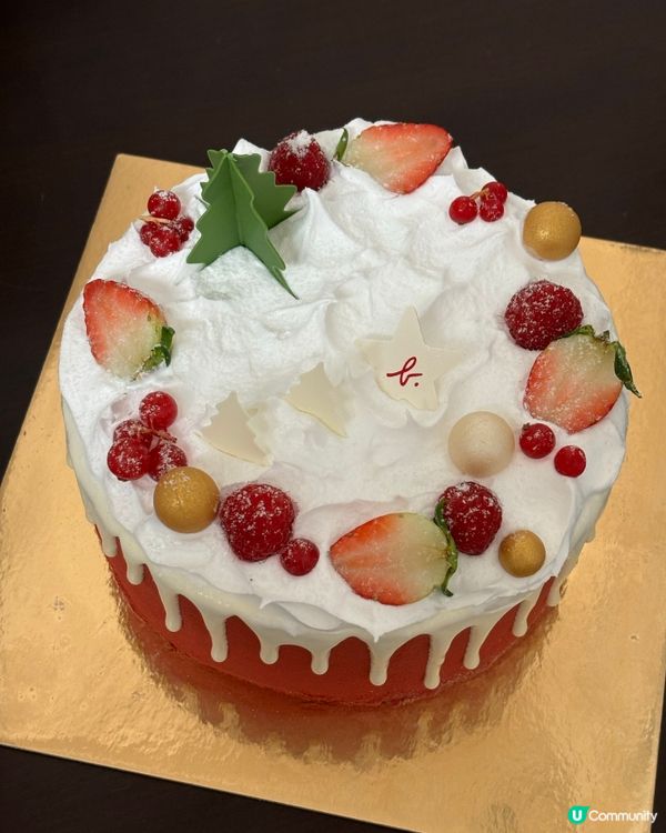 超靚聖誕蛋糕！🥹🎄