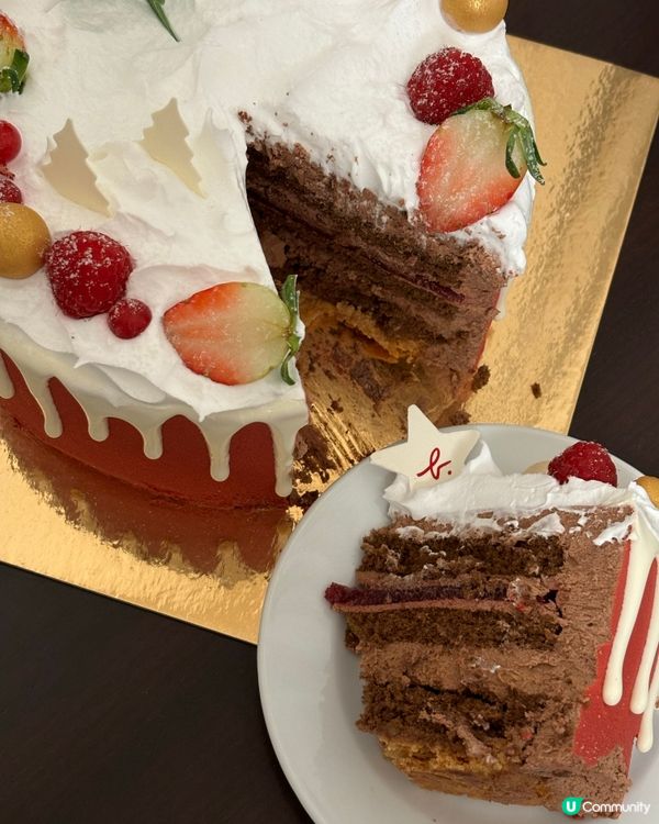 超靚聖誕蛋糕！🥹🎄