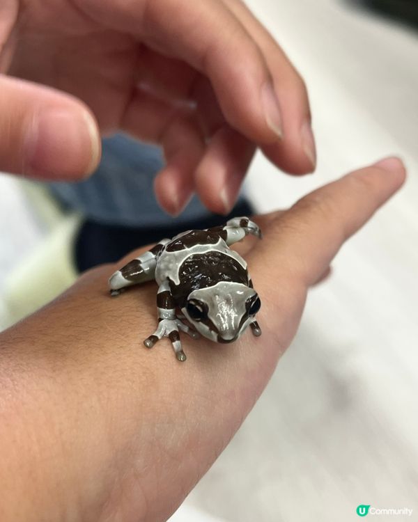 爬爬爬的親子動物園～