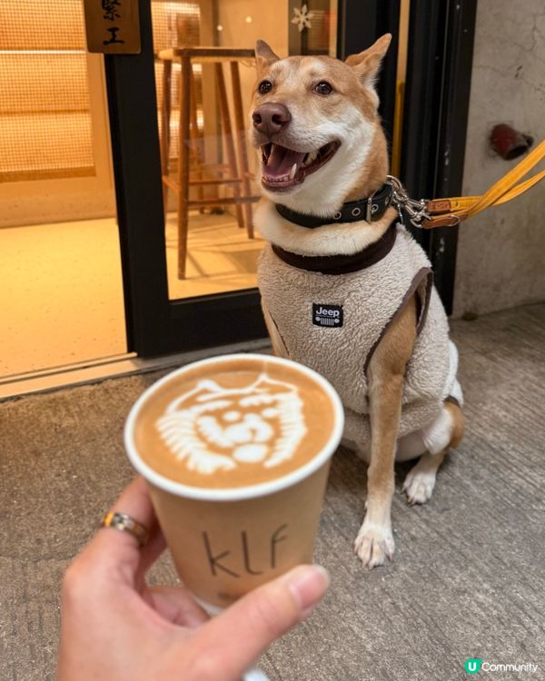 狗狗拉花☕！窮啡超驚喜😍！ #香港特色 #咖啡店