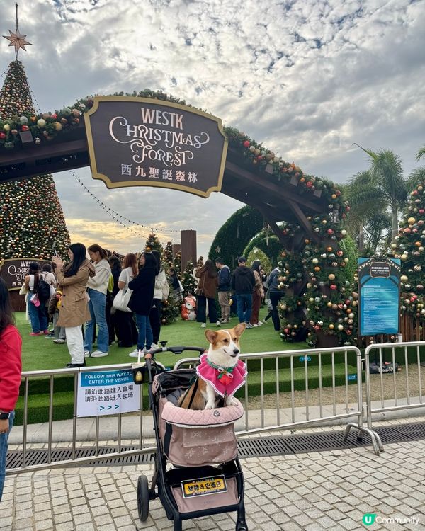 西九聖誕🎄市集