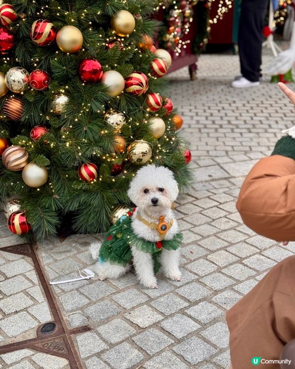 西九聖誕🎄市集