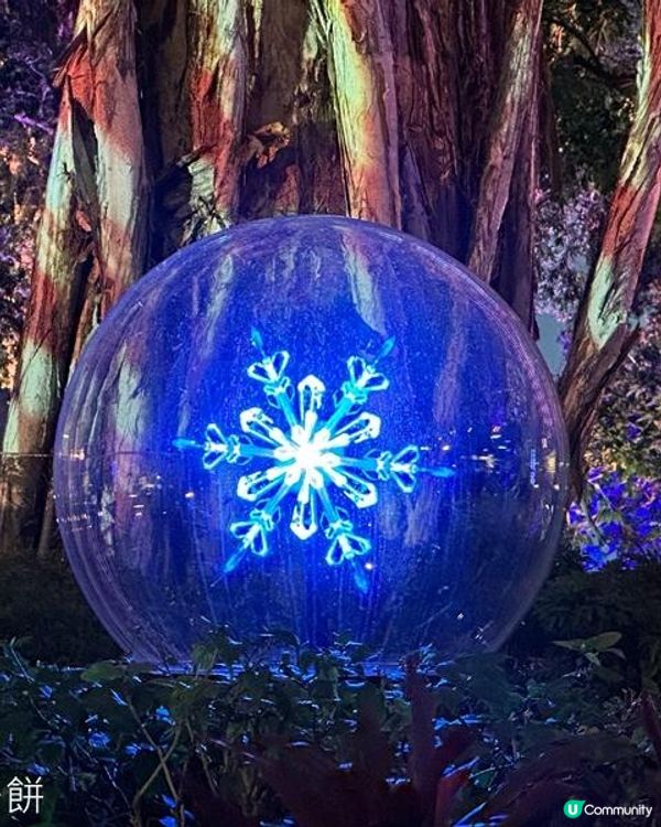 聖誕好去處 | 光影匯‧中環 | 灣仔利東街