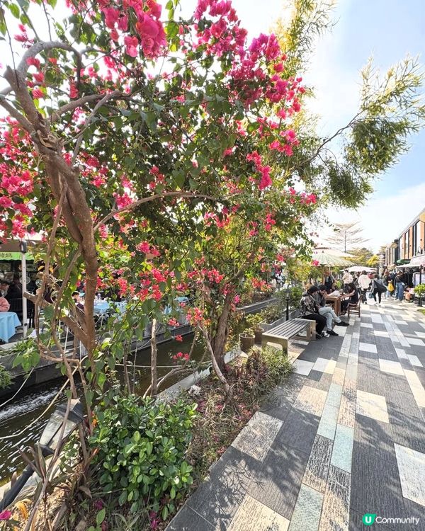 錦上路站都好行🤩 盈匯坊+紅磚屋！🚶‍♀️