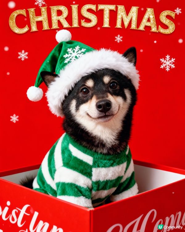 📎又到聖誕🎄 又到聖誕🧑🏻‍🎄