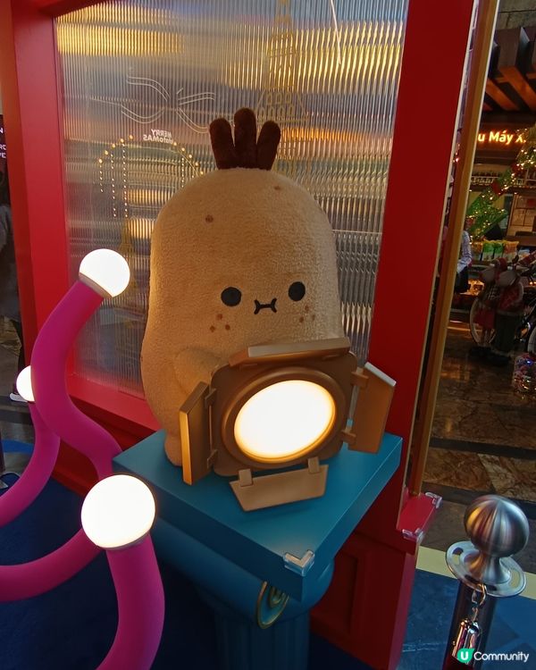 薯仔家族