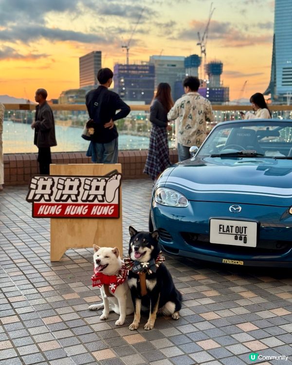 中港城 車尾箱聖誕市集 + 巨美日落