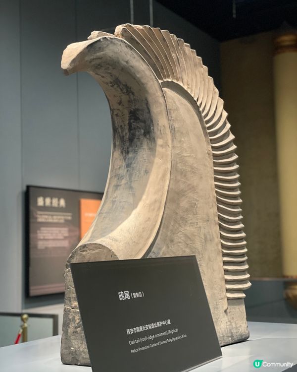 大明宮博物館遊記！穿越盛唐🤩