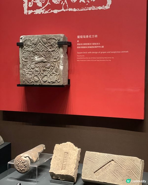 大明宮博物館遊記！穿越盛唐🤩