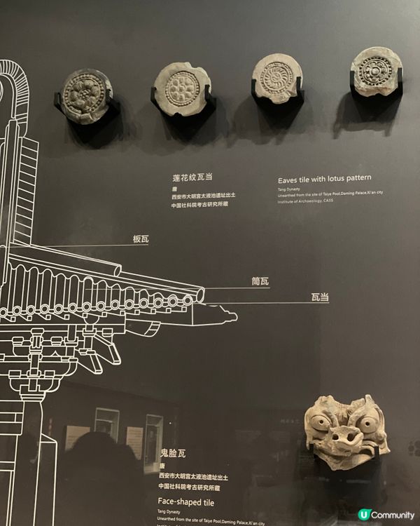 大明宮博物館遊記！穿越盛唐🤩