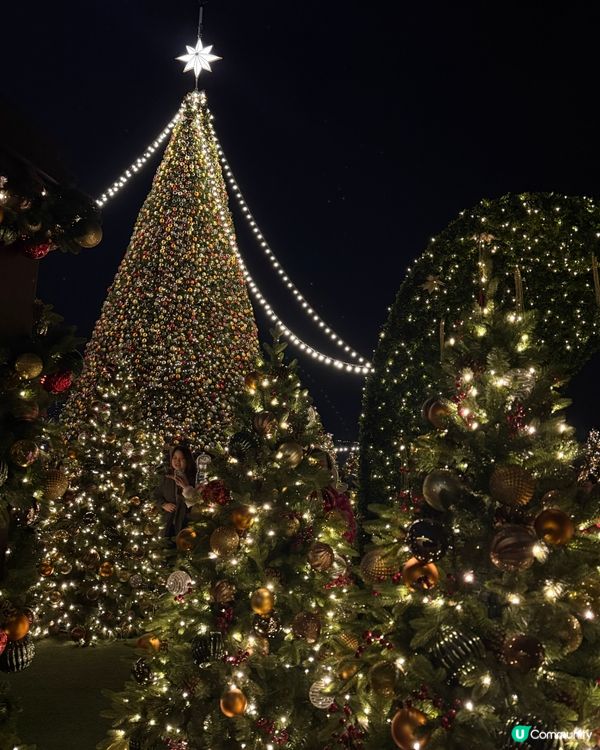 聖誕節的西九聖誕森林🎄