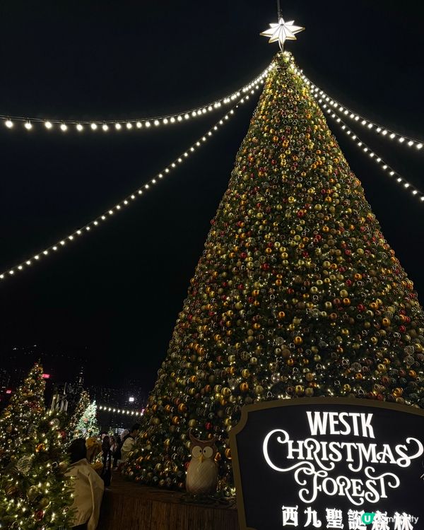 聖誕節的西九聖誕森林🎄