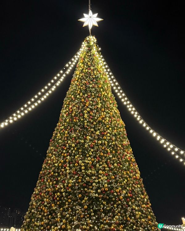 聖誕節的西九聖誕森林🎄