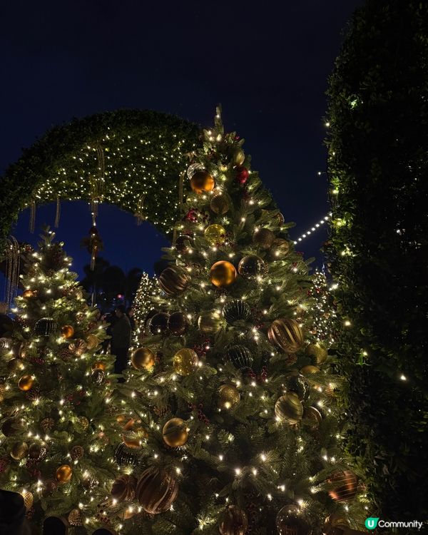 聖誕節的西九聖誕森林🎄