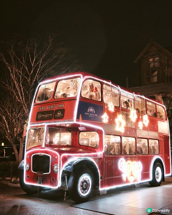 北海道聖誕夢幻之旅❄️！