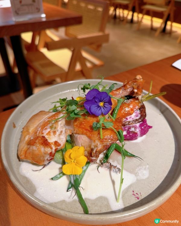 啟德泰迪熊Cafe🐻！聖誕打卡必去🎄！