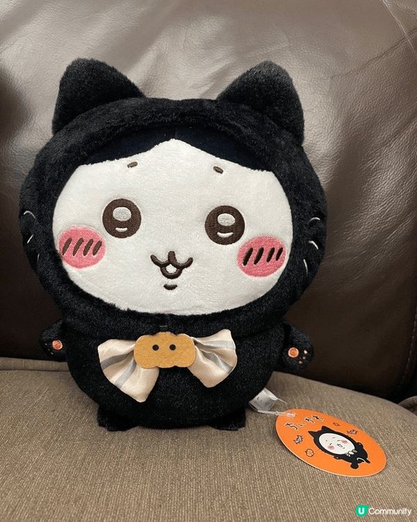 Chiikawa小八的搞笑相片，真的是太可愛了！小八那個呆萌...