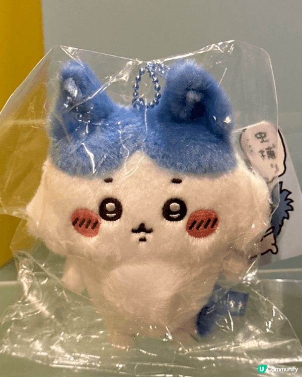 Chiikawa小八的搞笑相片，真的是太可愛了！小八那個呆萌...