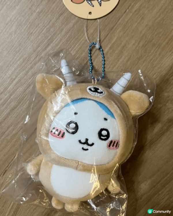 Chiikawa小八的搞笑相片，真的是太可愛了！小八那個呆萌...