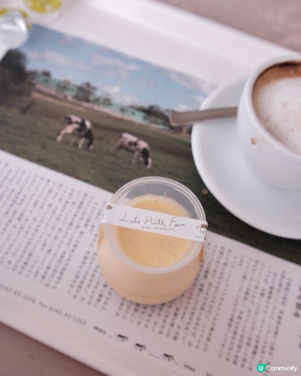 洞爺湖冬日限定❄️雪國童話小鎮！🍦