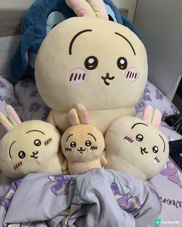 chiikawa真係好得意