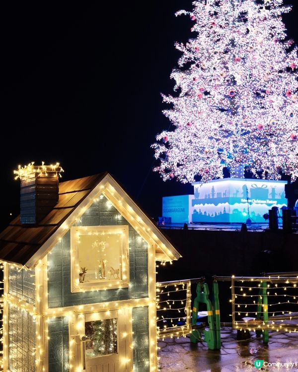 函館聖誕🎄浪漫到爆！