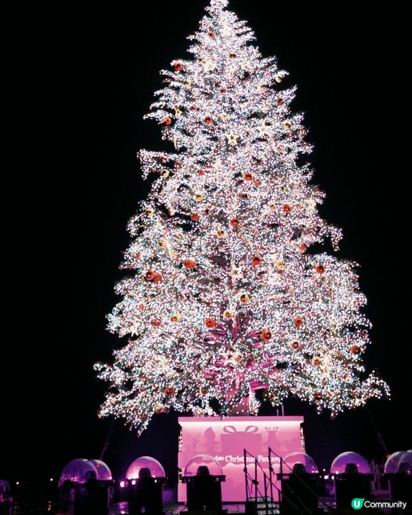 函館聖誕🎄浪漫到爆！