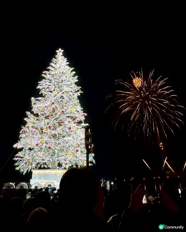 函館聖誕🎄浪漫到爆！