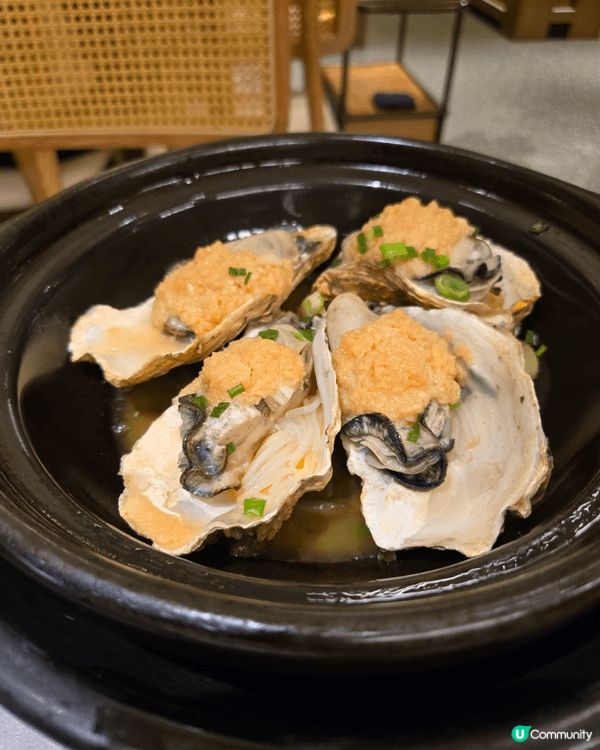 旺角鳳園椰子雞