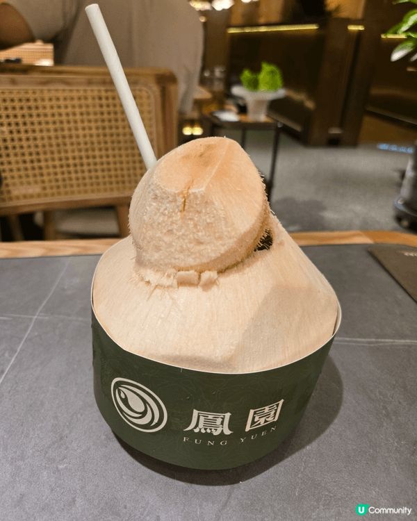 旺角鳳園椰子雞