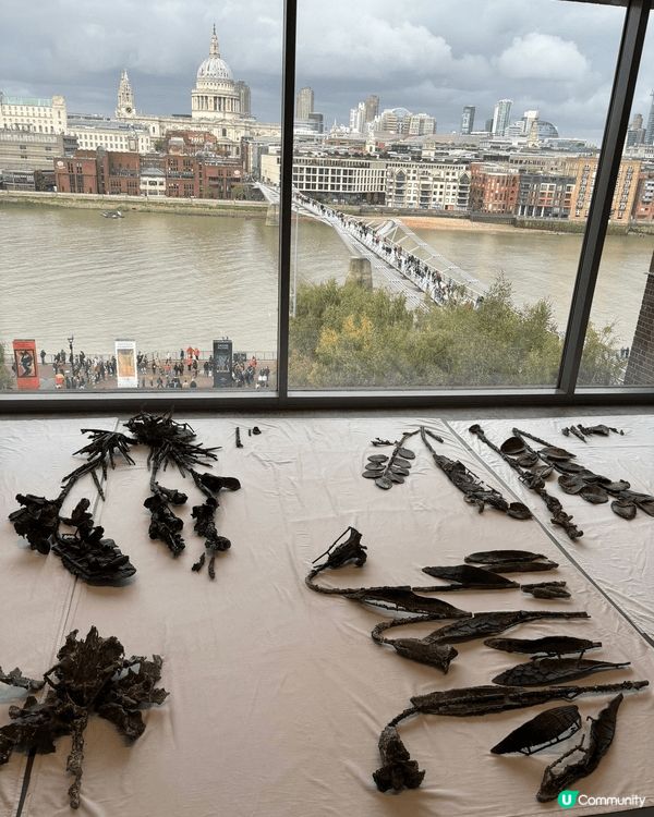 14年後嘅英國, London bridge附近嘅藝術館同埋...