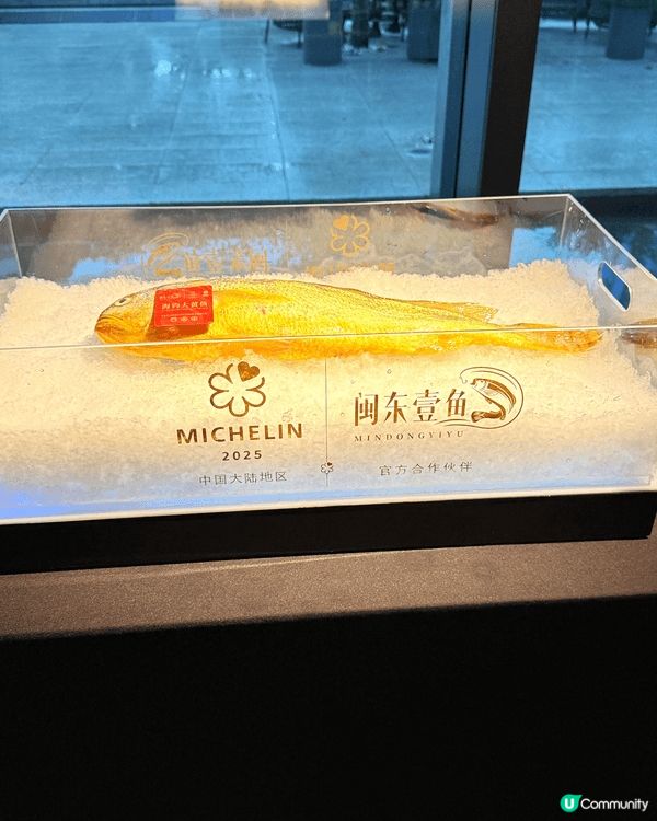 前海花悅庭今晚黃魚宴絕了！鮮嫩黃魚入口即化，融合粵式秘醬，香...