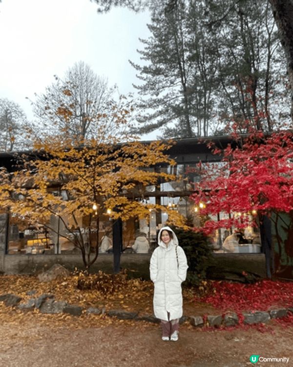 前排去完韓國旅行，幾乎每日都係0度或以下，但咁樣先有聖誕氣氛...