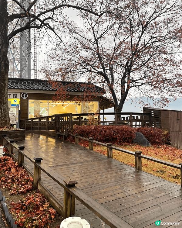 前排去完韓國旅行，幾乎每日都係0度或以下，但咁樣先有聖誕氣氛...