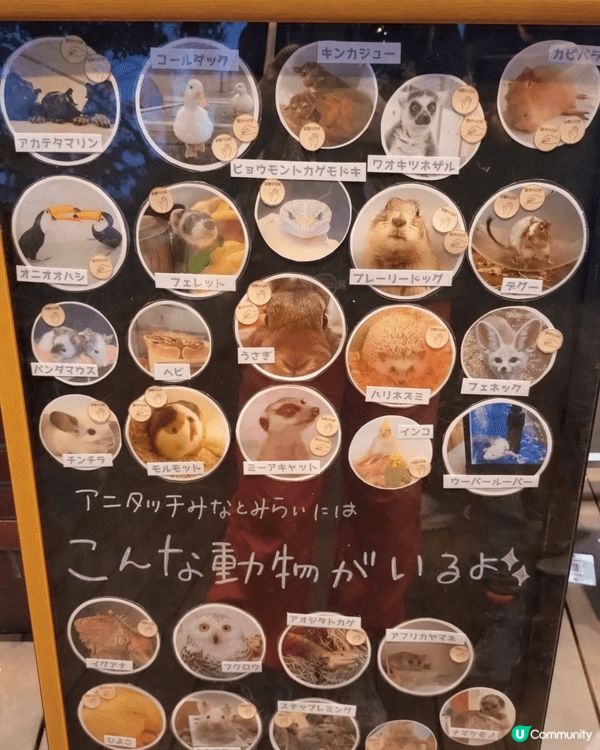 #北上度假計劃      在日本橫濱閒遊時發現了一間有趣的室...