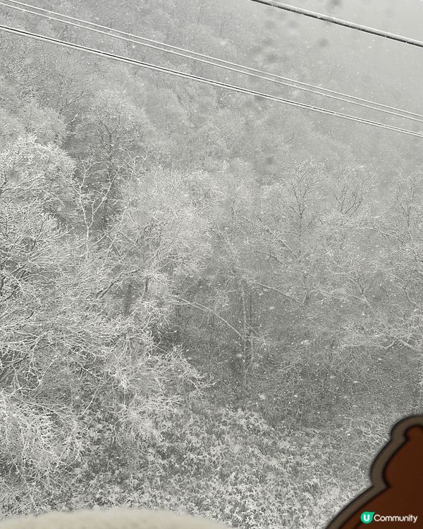 北海道滑雪之旅好玩、雪景浪漫、美食難忘、充滿聖誕氣氛