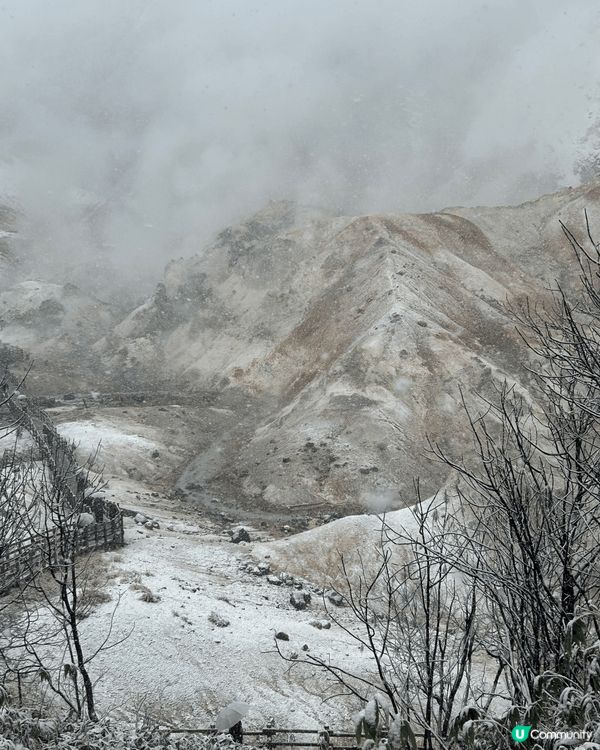 北海道滑雪之旅好玩、雪景浪漫、美食難忘、充滿聖誕氣氛