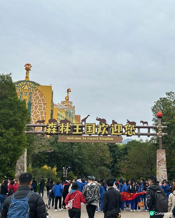 清遠森林王國