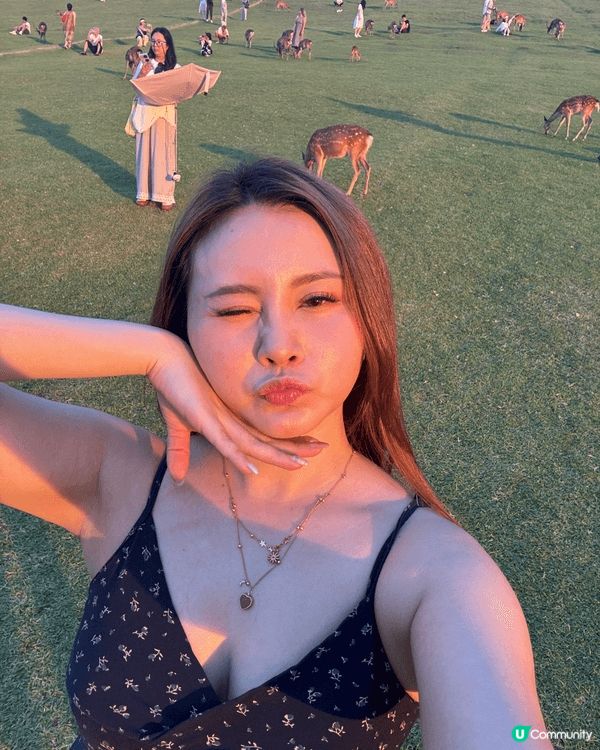 日本奈良若草山係睇日落聖地💗💗 有埋啲鹿仔一齊合照影相真係好...